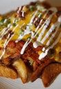 Ultimate loaded french fries
